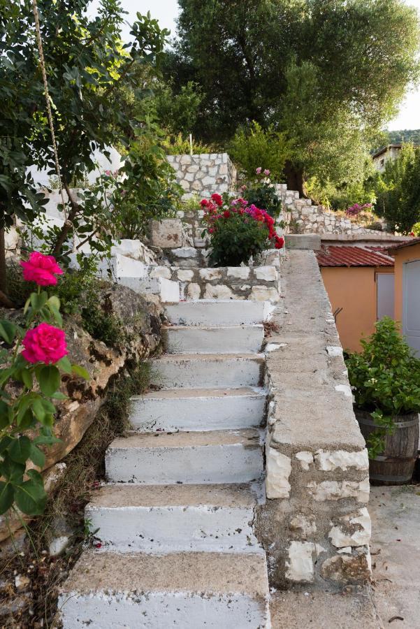 Makris House Apartment Agia Efimia Bagian luar foto